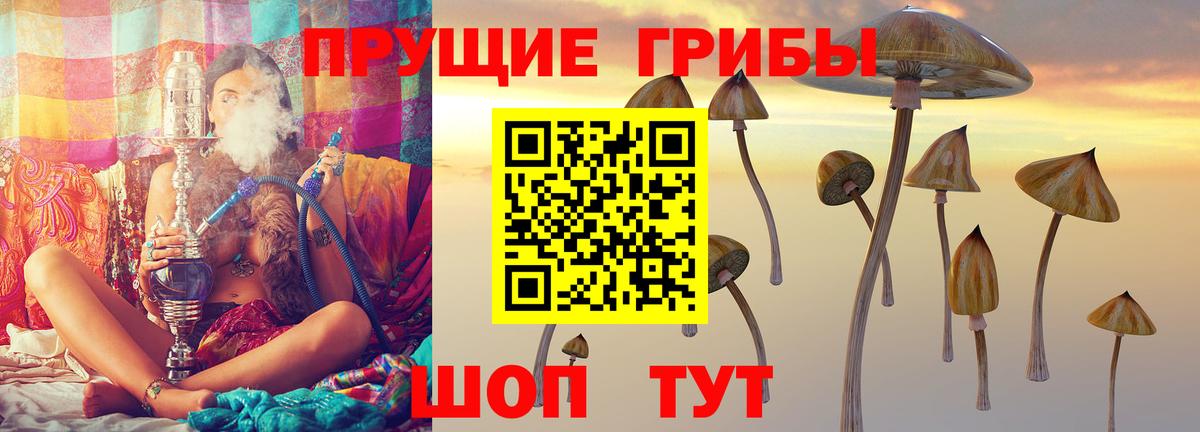 Галлюциногенные грибы Magic Shrooms  Вход с VPN  Курск 