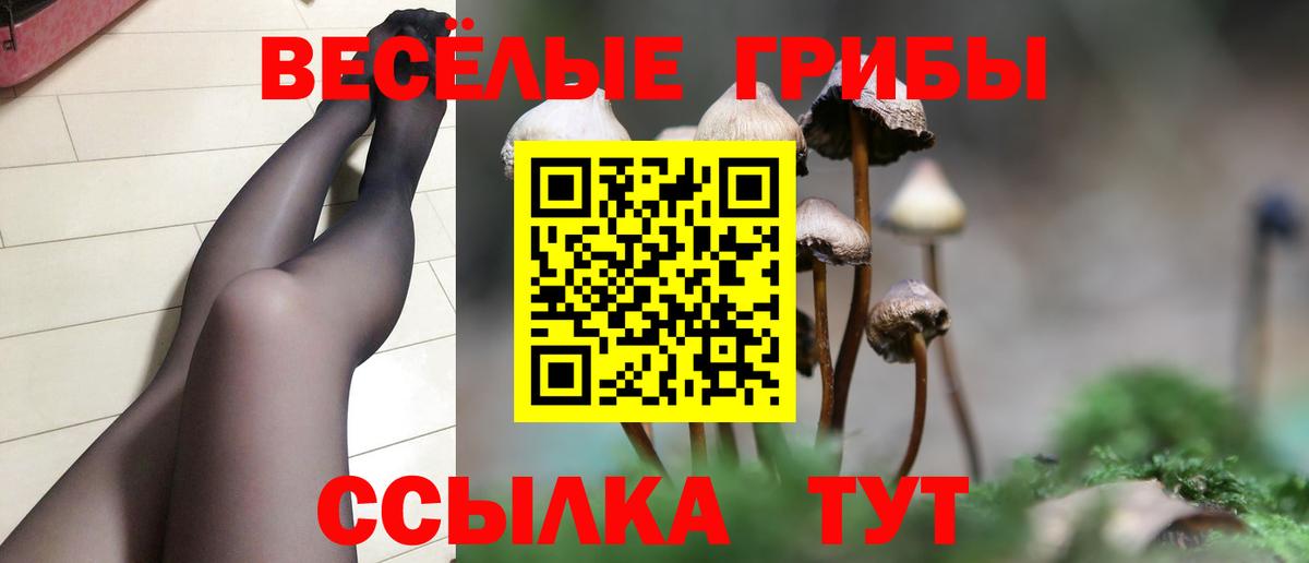 Псилоцибиновые грибы мухоморы Курск